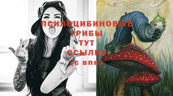 дмт Баксан