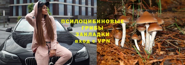 дурь Балахна